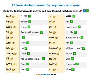 20 basic Amharic words for beginners with Sentence building quiz: