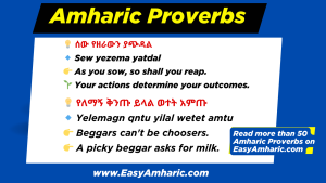 Read more about the article 70 Amharic Proverbs and Expressions