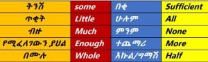 Amharic basic grammar