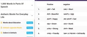 Learn Amharic made easy
