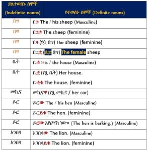 learn Amharic adjective articles