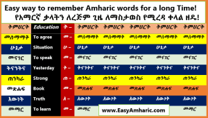 Remember Any Amharic Word