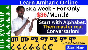 Amharic language classes