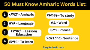 50 basic amharic words